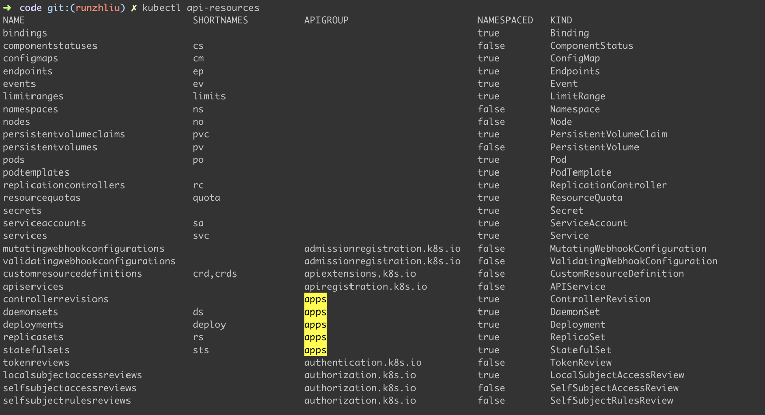/kubernetes-api-resources%E5%92%8Cversions/img.png